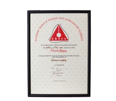 European Thoracic Surgery License