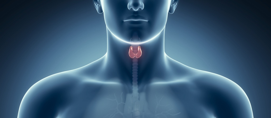Thyroid